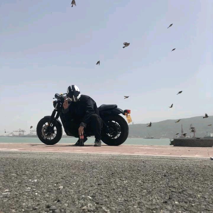 白山茶