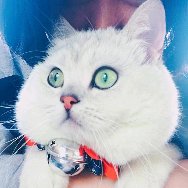 Edna