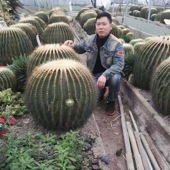 超级英雄