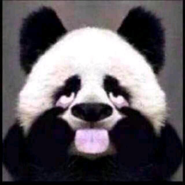 馬哲