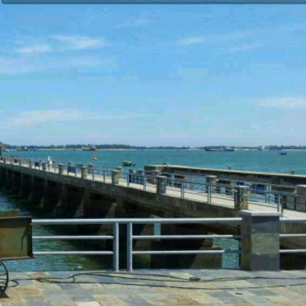 华联水产♧黄骨鱼♧