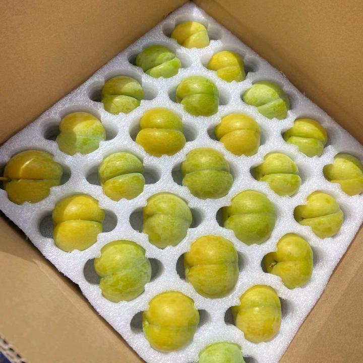 农村蜂糖李子哥