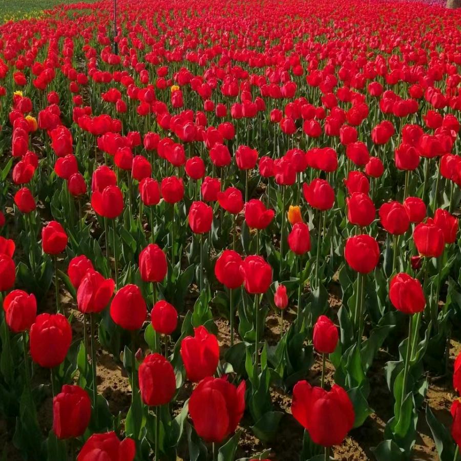 从此不在留念过去