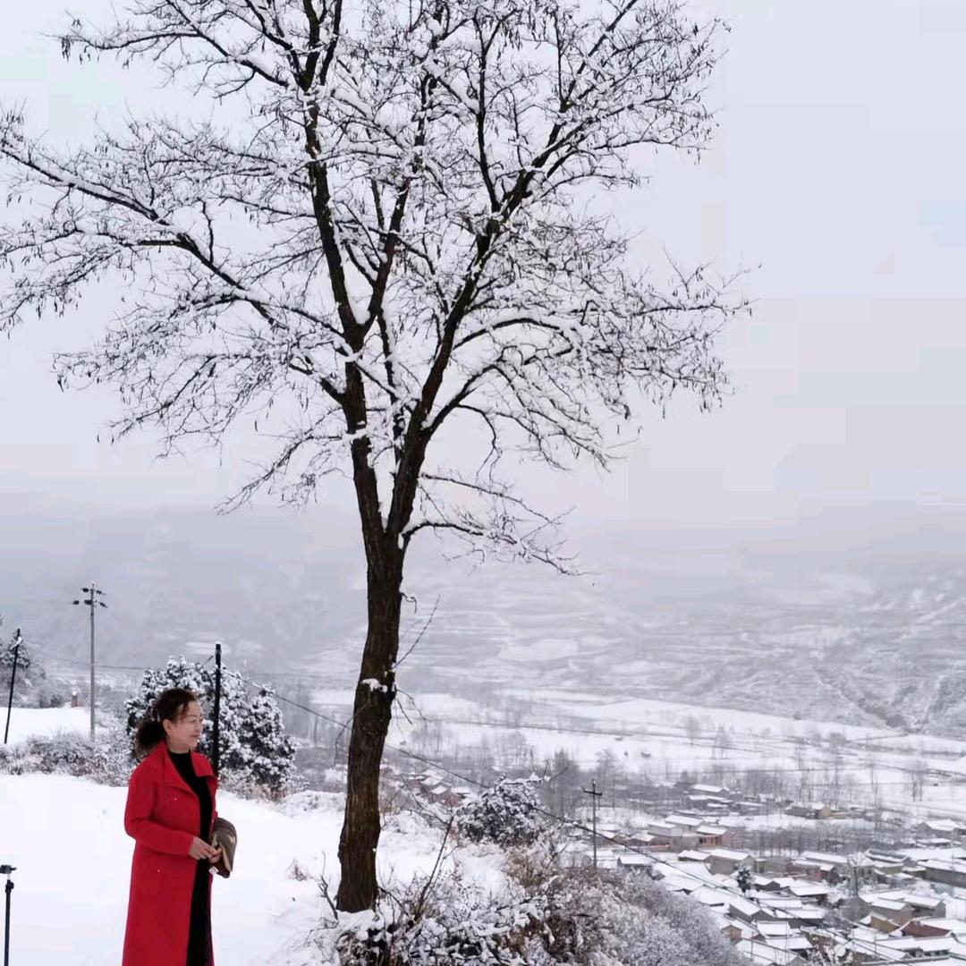 陪你看日落