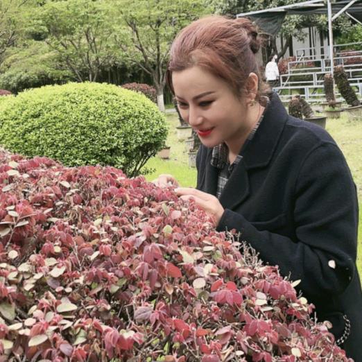 国胜药业、贵康堂