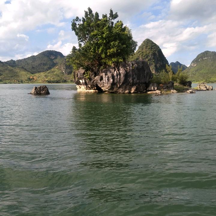 美丽的人生