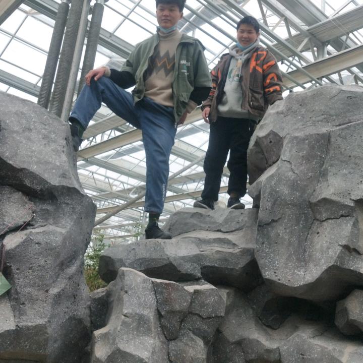 华姐手工小笼包