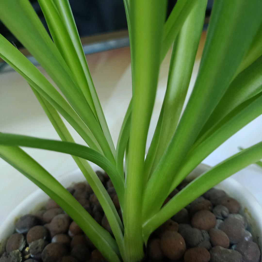 随缘