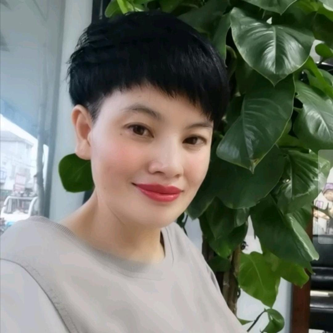 芙蓉