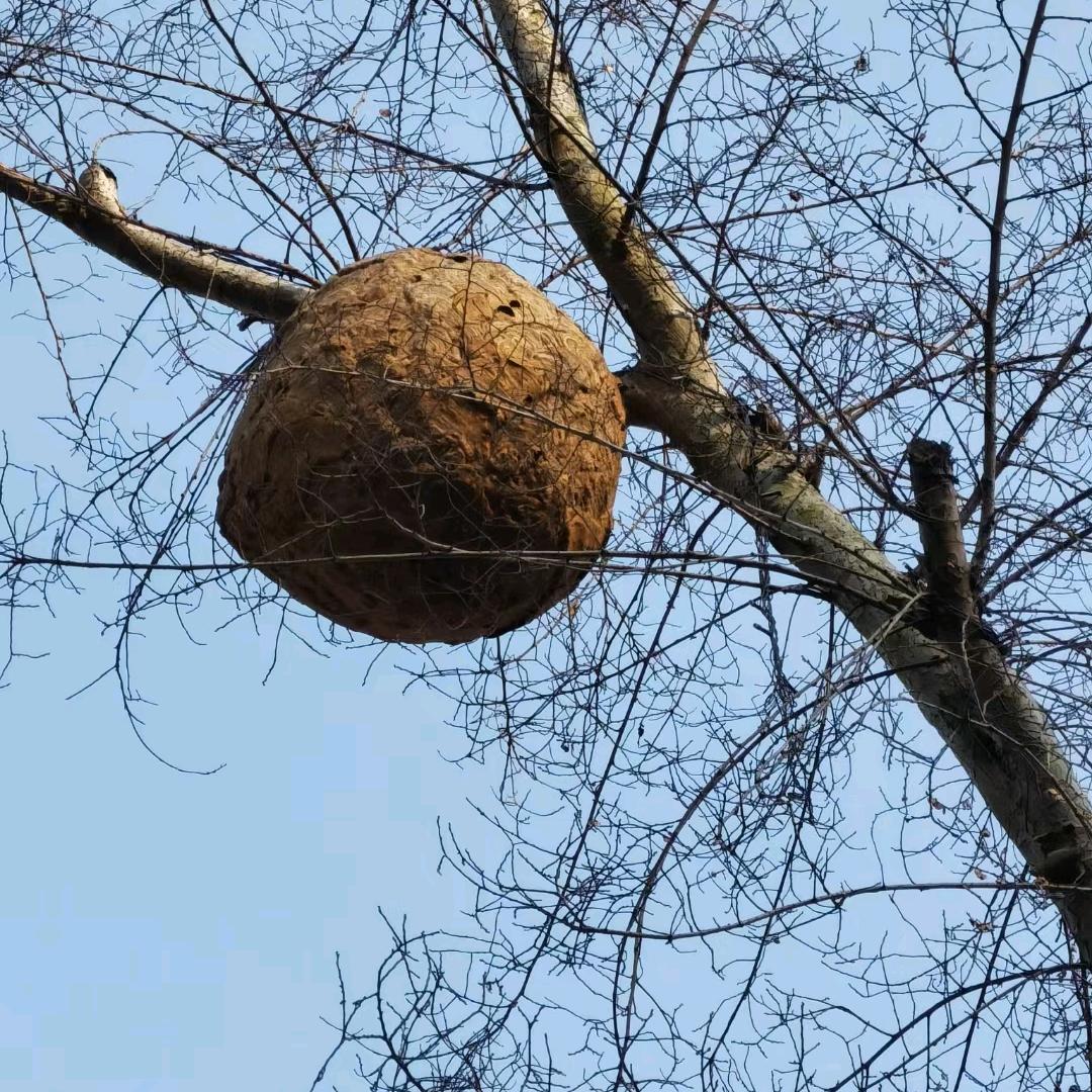 马到成功