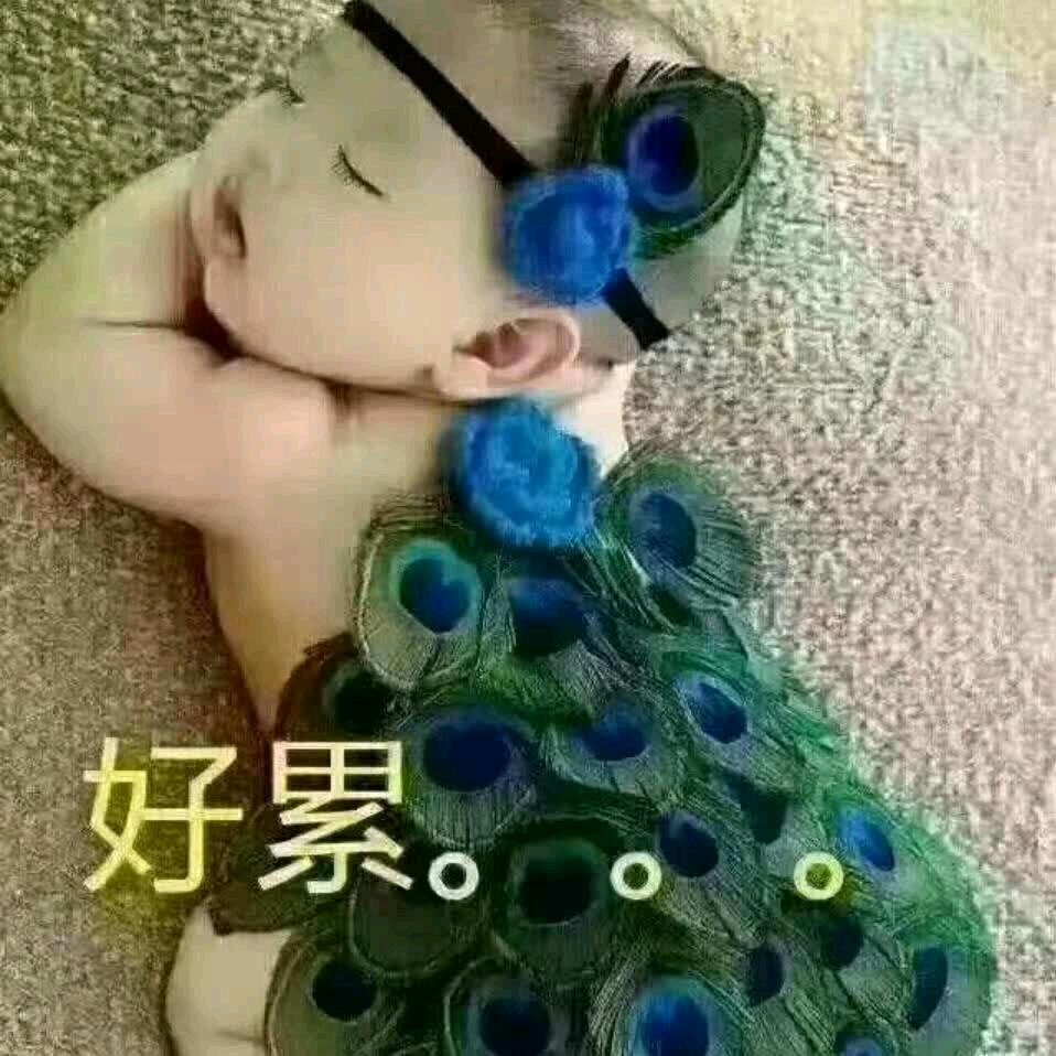 忘掉一切