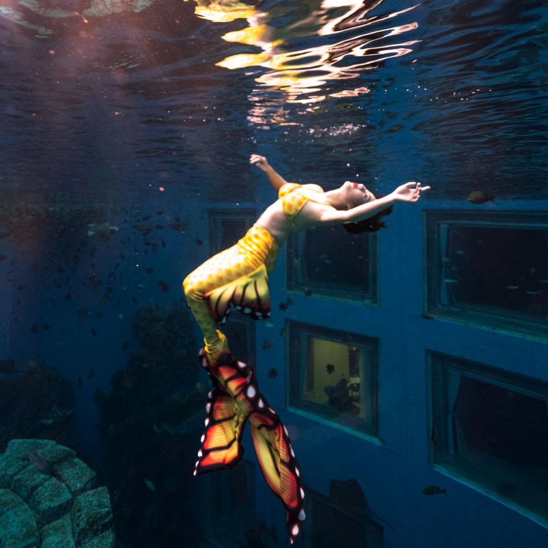 江江在丽江潜水🤿