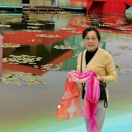 马沛菊