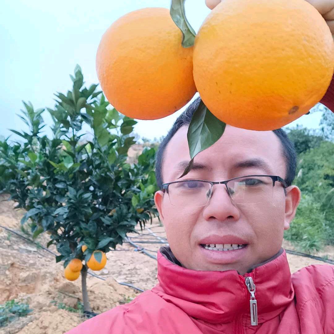 豆豆鲜果坚强店