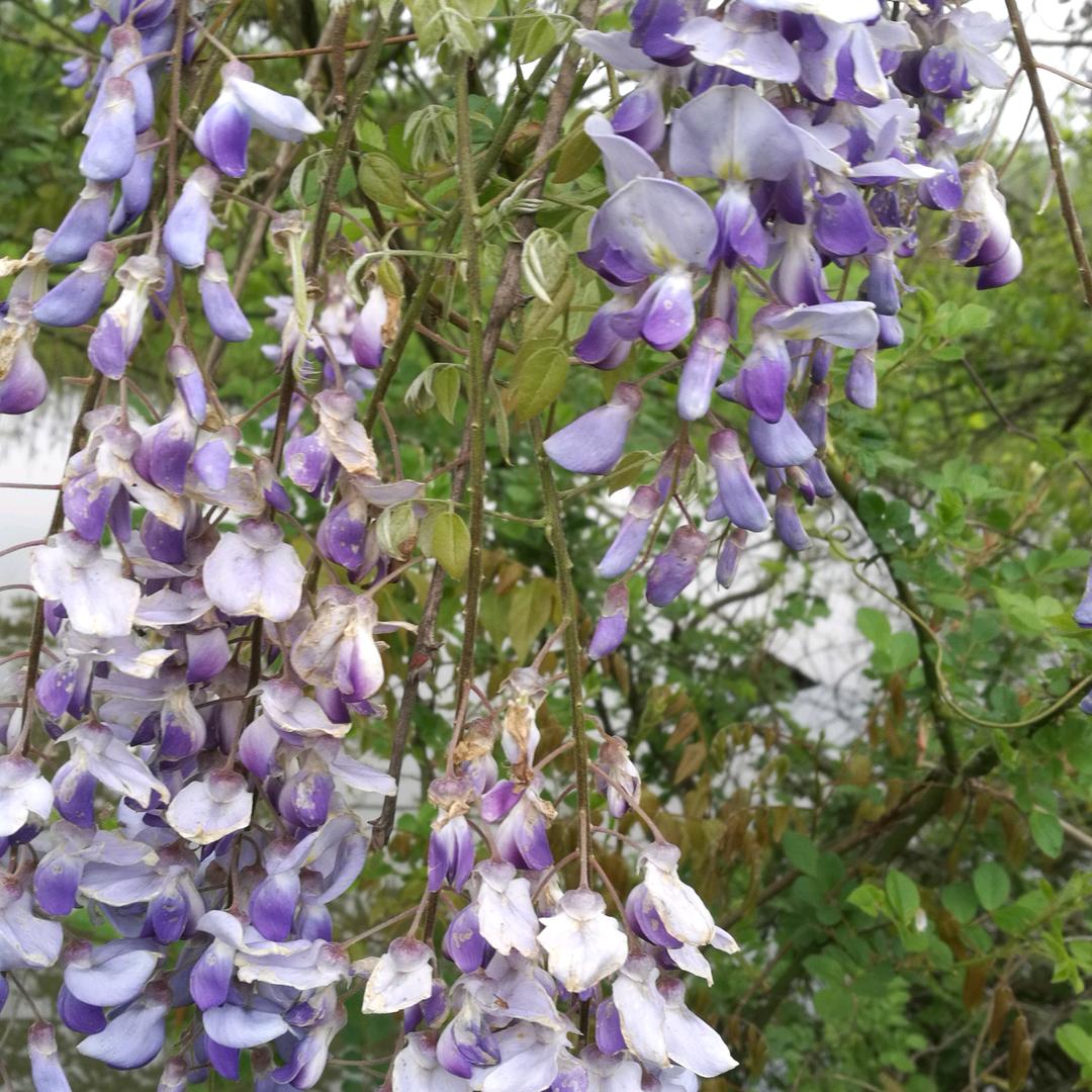不吵不闹的十月