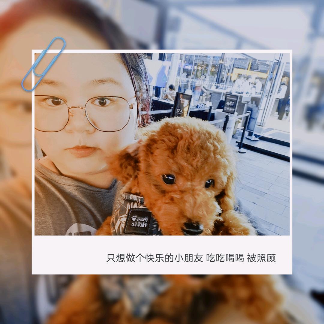 爱厨房 爱狗狗の丹丹