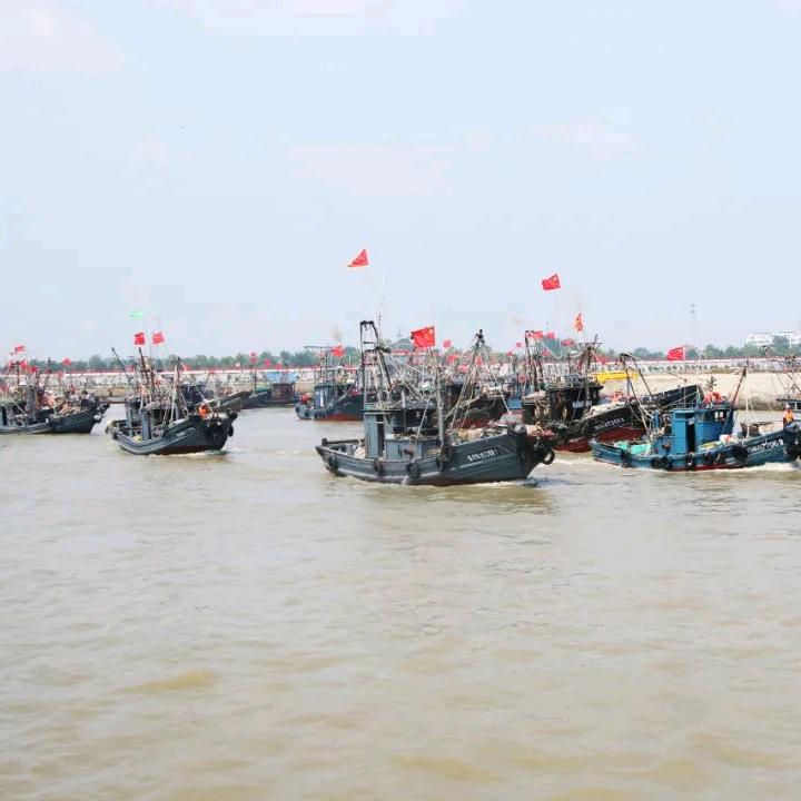 日照涛雒鸿業海参，辽参批发零售