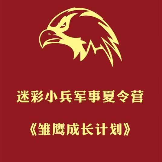 迷彩小兵夏令营
