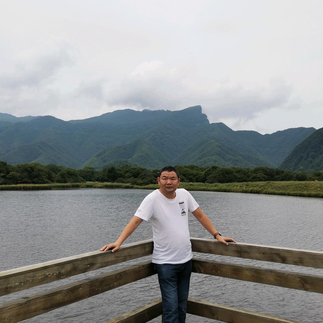 龙龙