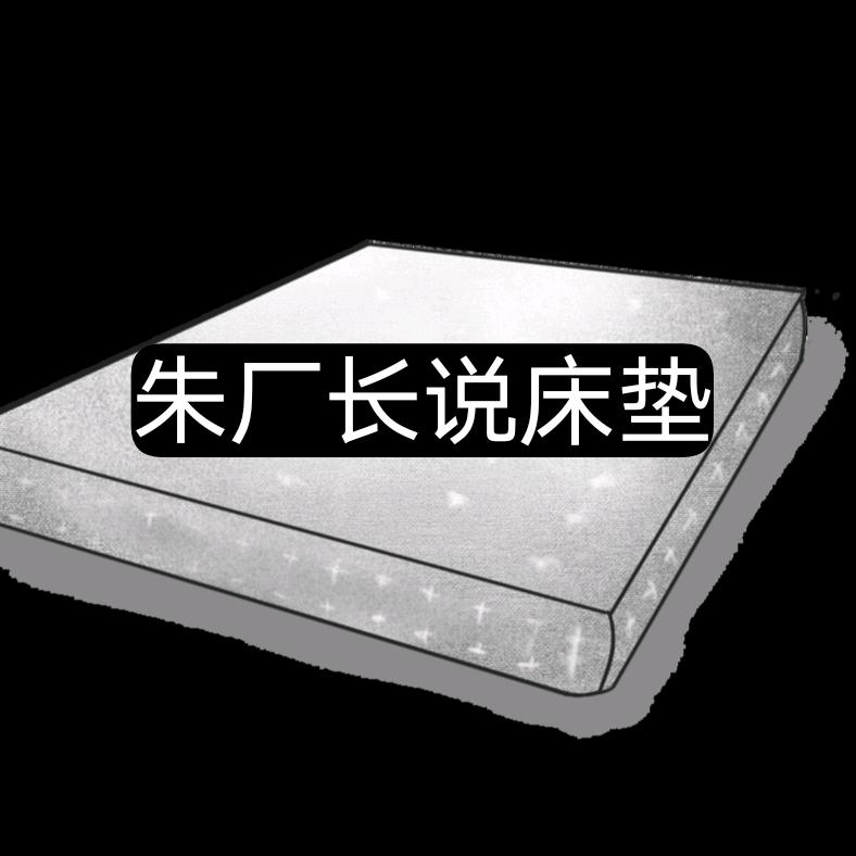 朱厂长说床垫(麻俊士)