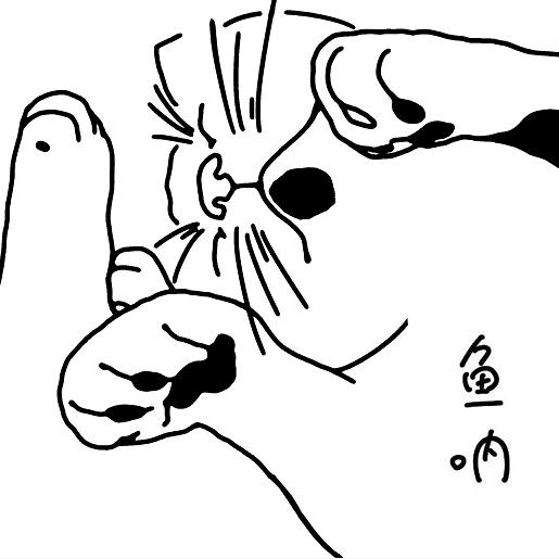 小比目鱼
