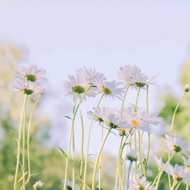 屿你手作（接单）