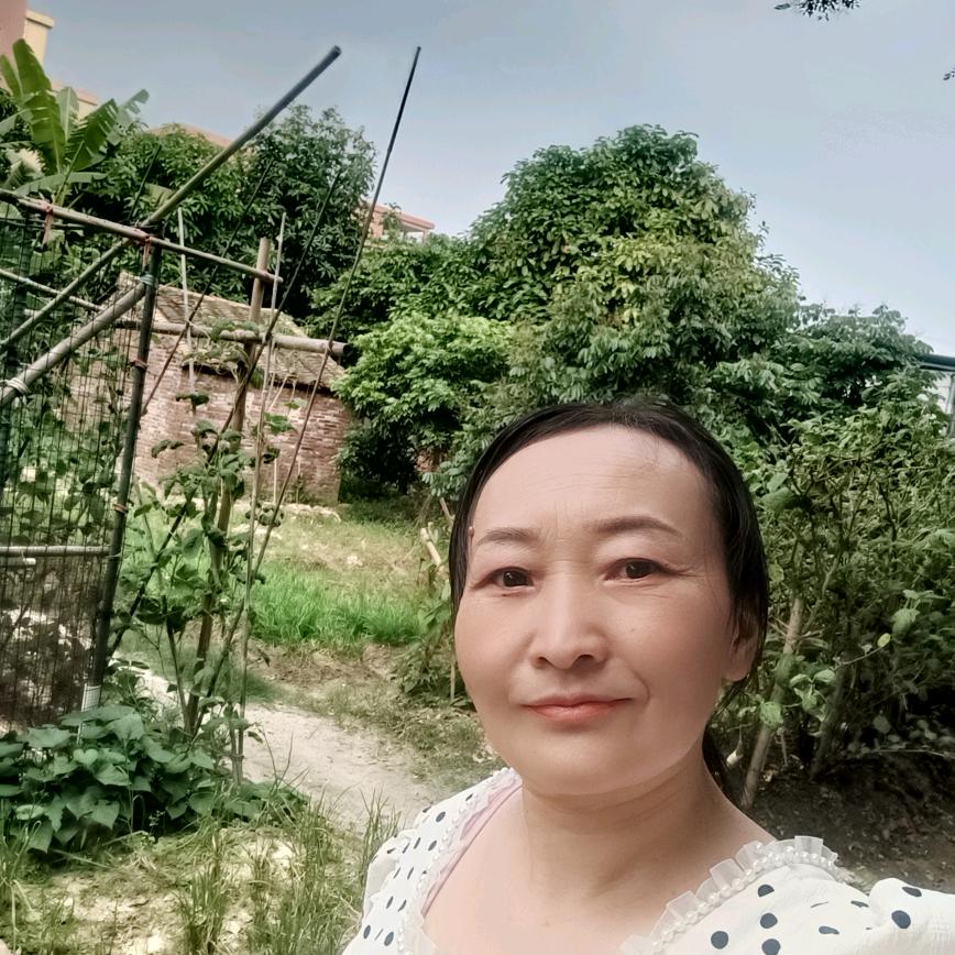 苗姐百草妙方（商行任选）