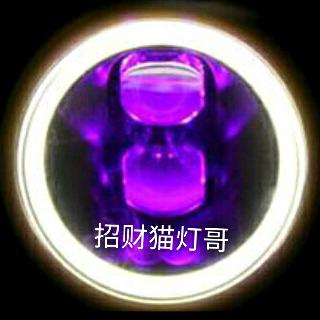招财猫灯哥