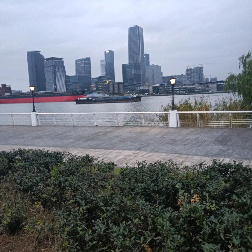 丽小星星