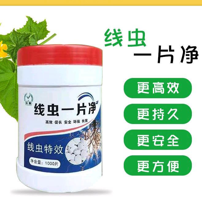 一棵一片，根结线瘤片