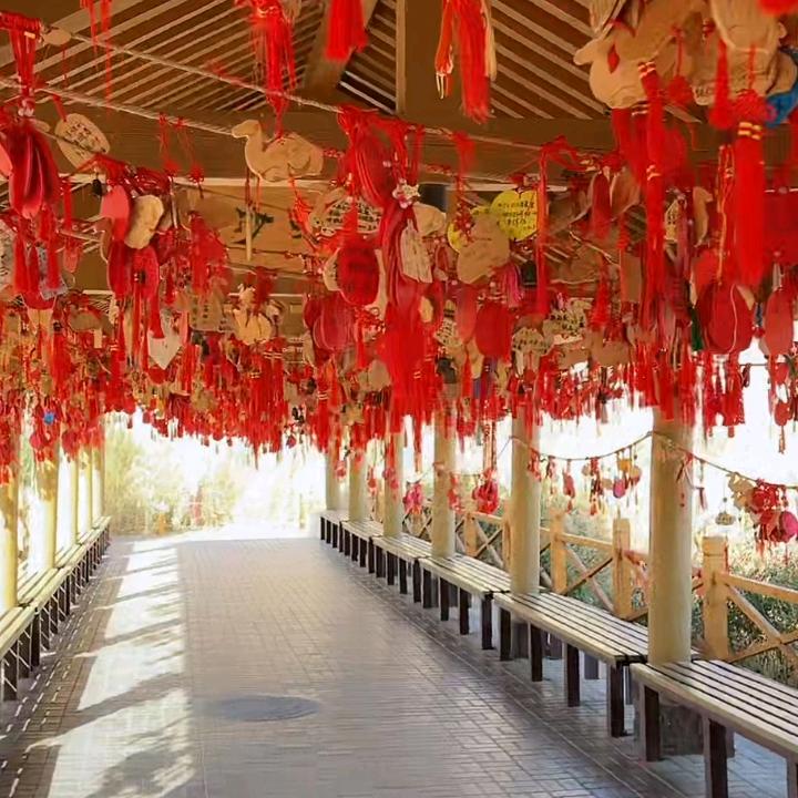 拾荒者（销售混泥土）