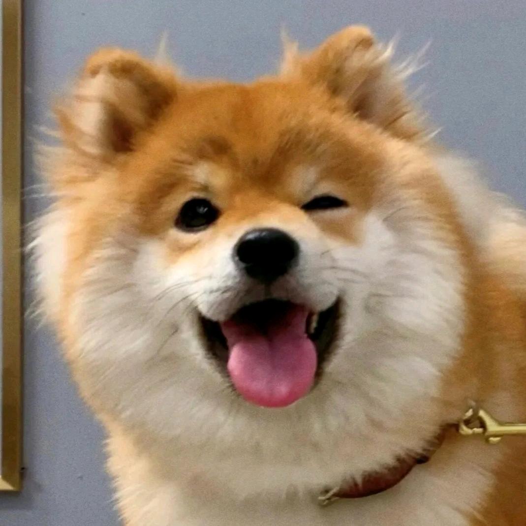 ζั͡ޓއއއ 丶墨殇°