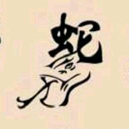 陈善居士🐍