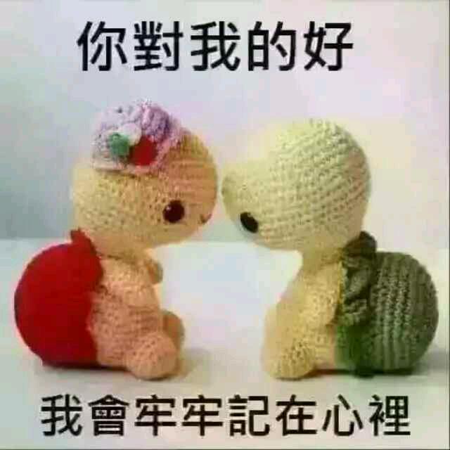 往后余生你陪我