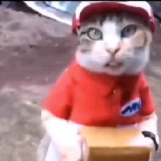 哈哈哈哈哈哈哈哈哈