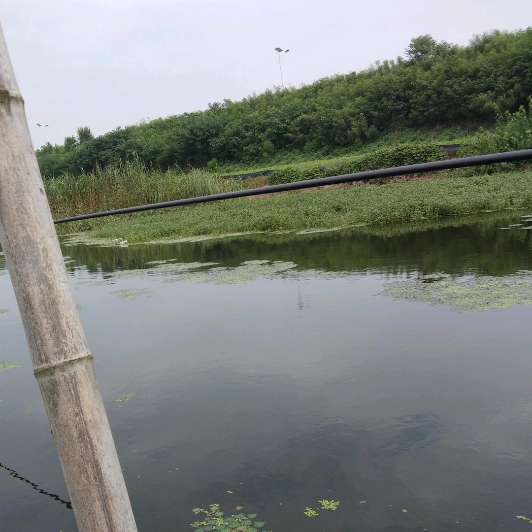 野钓爱好者