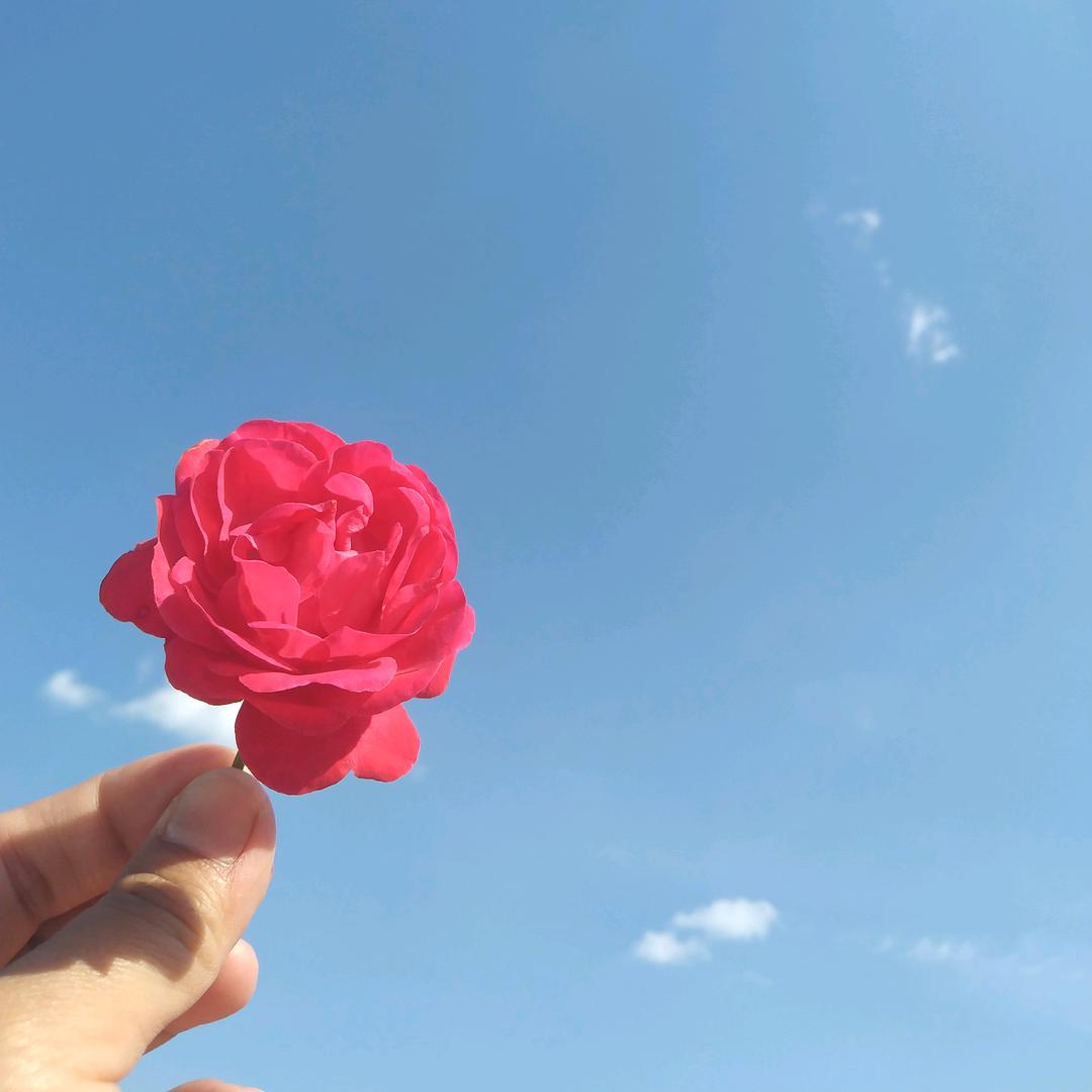 🐵⁰³.₂₅李℘࿐