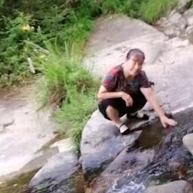 陈姐