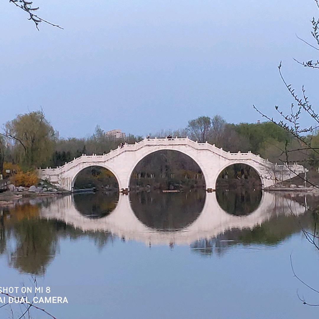 来自鲁的顺其自然