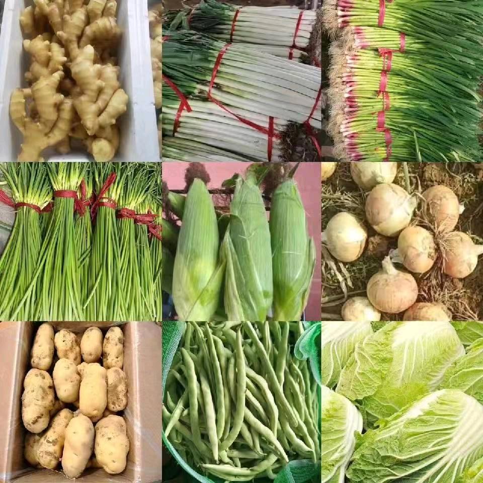 抚宁小超蔬菜购销（经纪人）