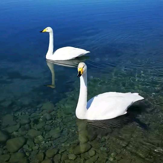 晚风漫漫.