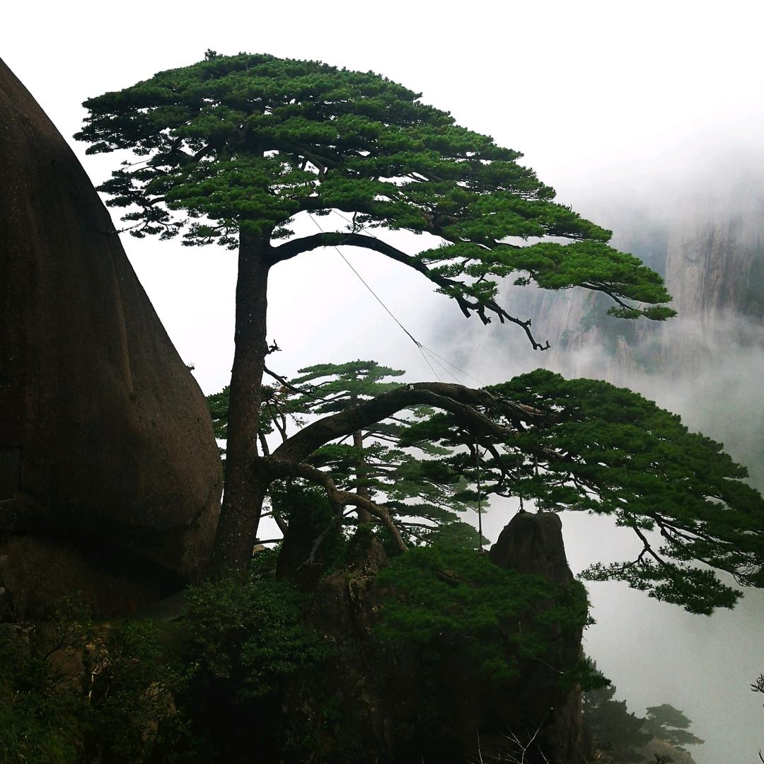 否极泰来