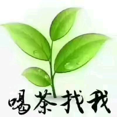 商南茶行