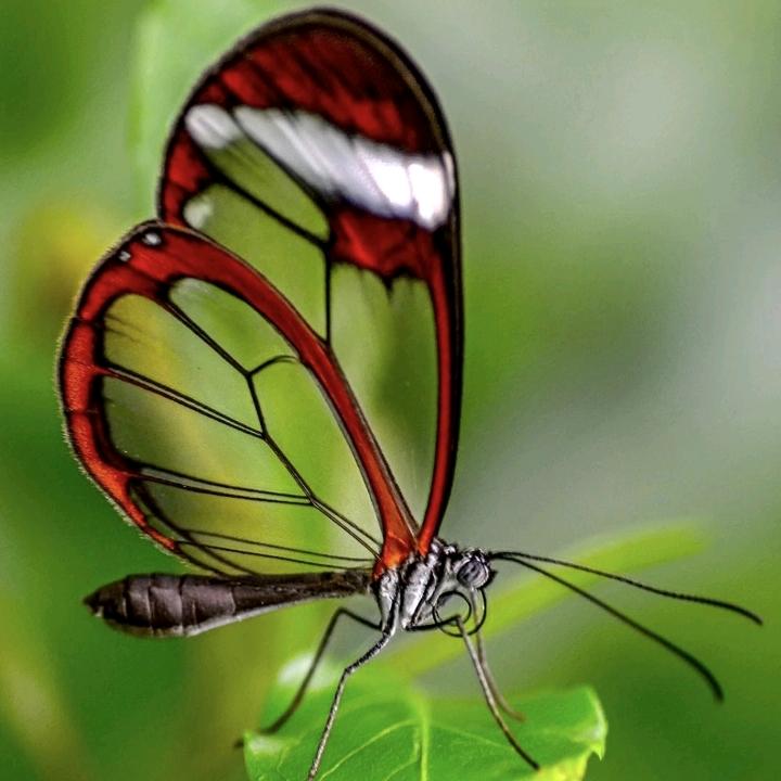 支点