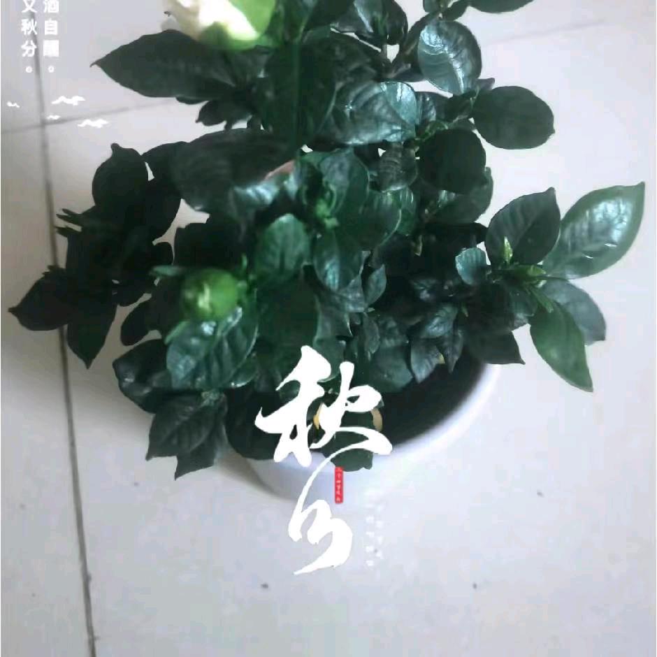 未来