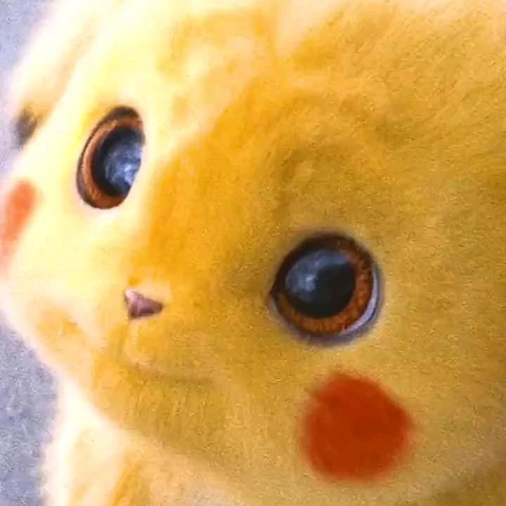 等风等雨也等你