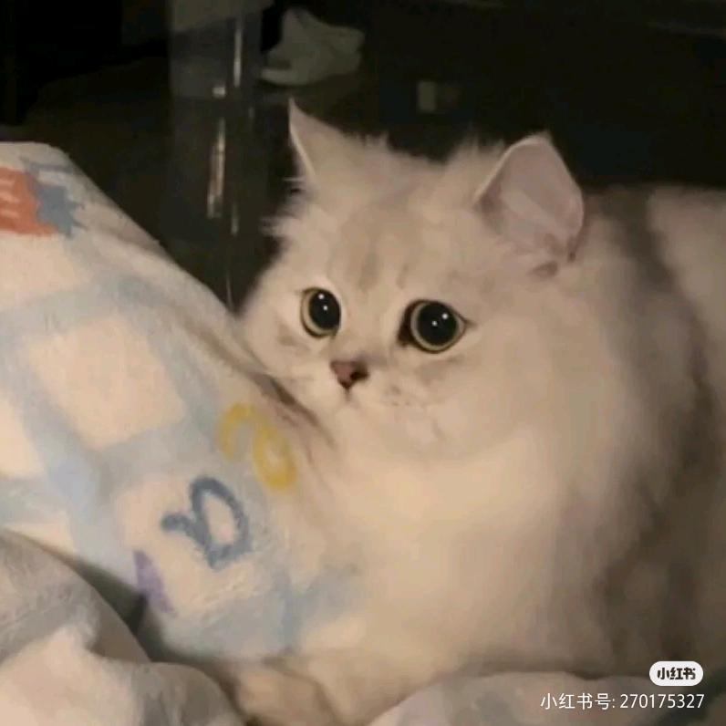好想早睡💤