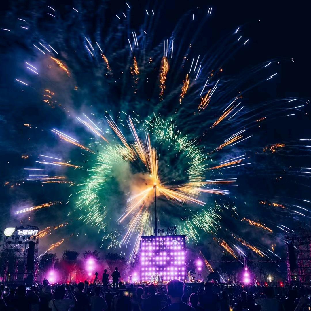 🎆烟花孔雀🎆