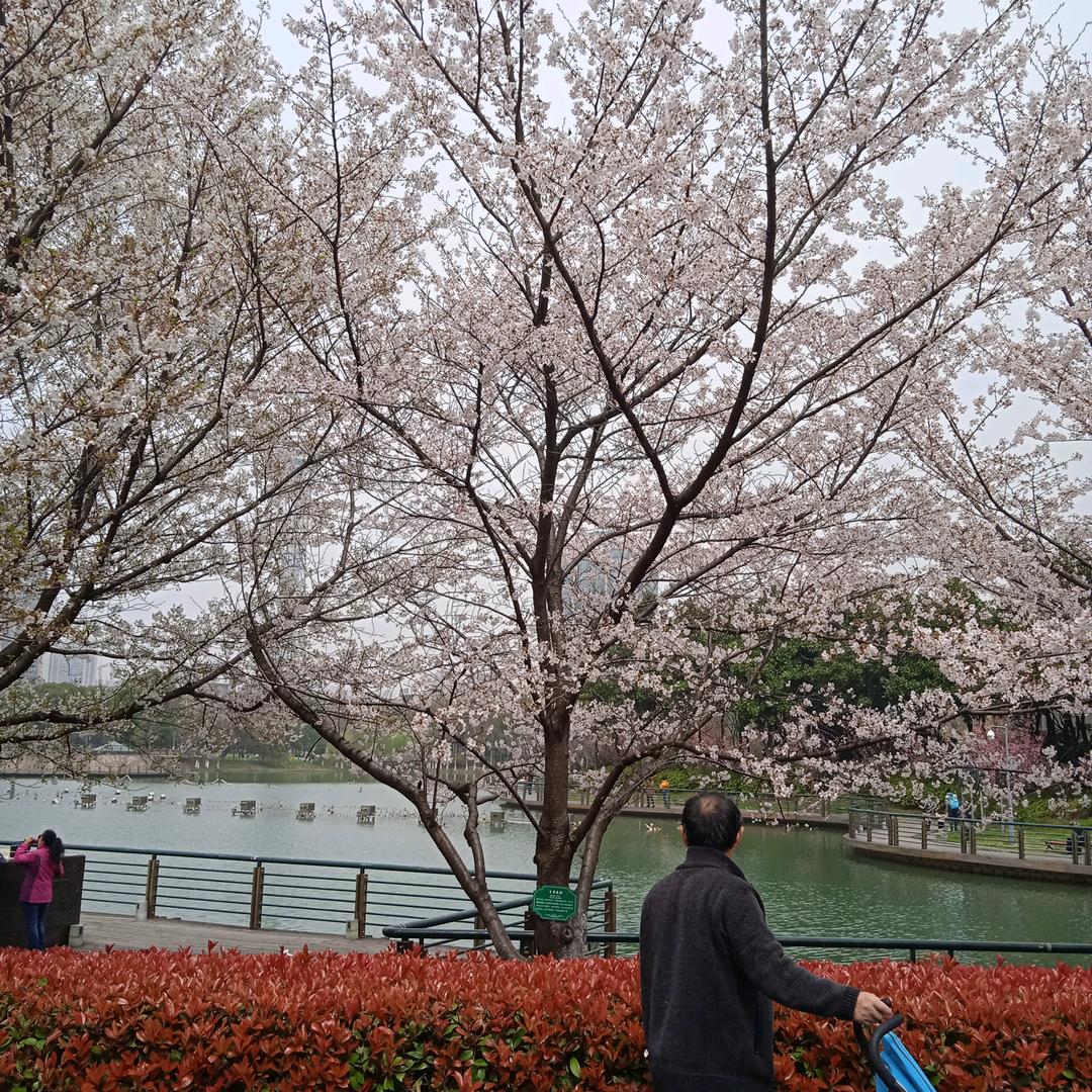 自由自在逍遥人