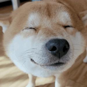 MAKA玛卡巴卡